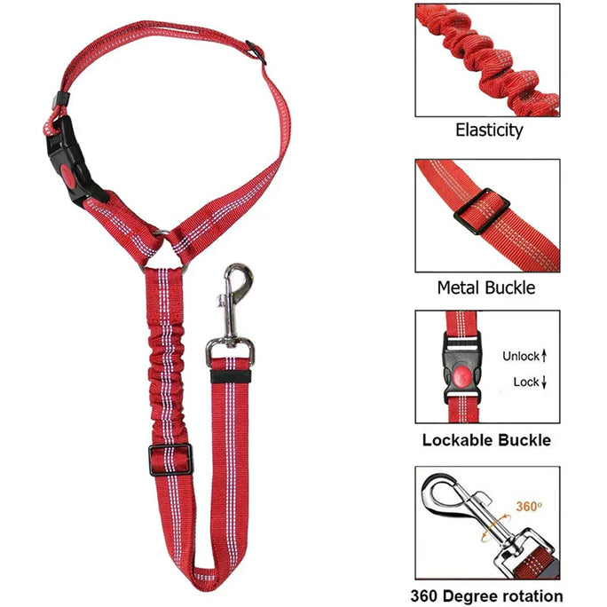 Two-in-One Dog Harness & Leash